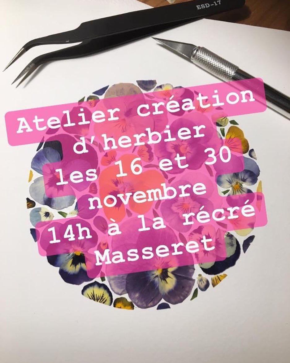 Atelier création d’herbier – novembre 2024